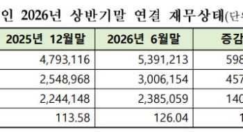 부채비율 12%p↑…비트맥스 8194% '최고'[상반기 코스닥 결산]