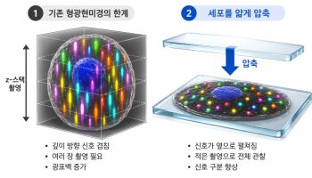 한양대, 세포 얇게 눌러 내부 정보 정밀 분석