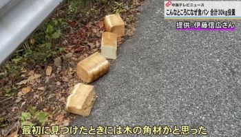 3일 연속 길에 떨어진 '식빵 28kg'…"왜 이런 곳에?"