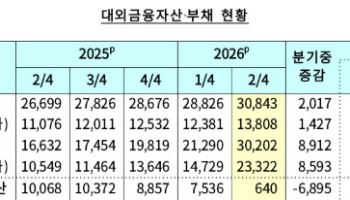 주가 70% 뛰자 순대외금융자산 91% 급감