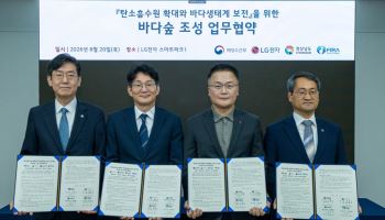 '경남 고성 1.5㎢ 바다숲 조성'…LG전자, 마린밸런스로 해양생태계 복원