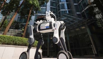 LG CNS, 타워팰리스에 사족보행 경비로봇 도입…‘피지컬AI’ 상용화