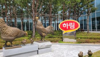 닭값은 올랐는데…하림, 육계 영업익 40% 감소한 이유