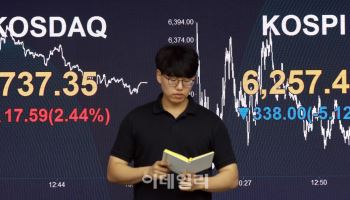 채권·삼전닉스 ‘반반 전략’…‘채권혼합형 ETF ‘폭풍성장’