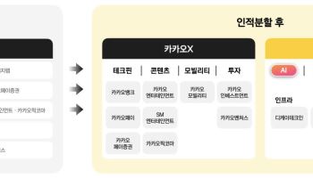 카카오 둘로 나뉜다…톡·AI는 카카오AI, 미래투자는 카카오X
