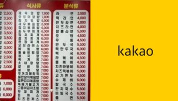 "김밥집 메뉴보다 회사 많겠다" 카카오 인적분할에 주식방 발칵