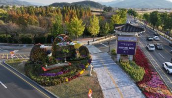경주·포항, 산림청 가로수 우수사례 장려상 수상 비결은