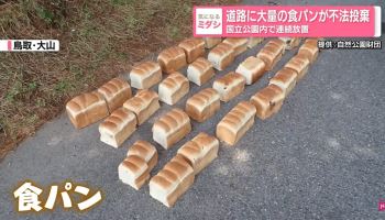 길에 버려진 의문의 식빵 39kg…그 옆엔 '닭 내장'도 발견