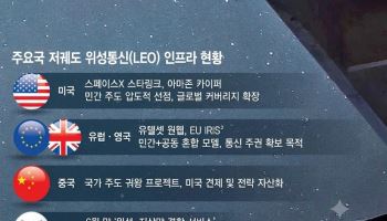 스타링크, 인도 사업 재신청…D2D로 농촌 통신시장 정조준