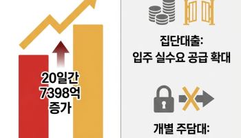 ‘잔금대출’ 열리고 ‘개별 주담대’ 닫히고…이원화하는 가계대출
