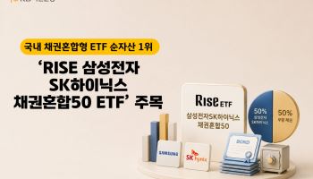 삼전닉스 주가 출렁이는데…채권혼합형 ETF ‘선방’