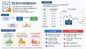 증시 활황에 몰렸던 ELS, 8월 들어 발행액 ‘급감’, 왜?