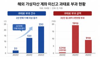 해외 가상자산계좌 신고 느는데…국세청 미신고·탈세 적발 미흡