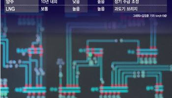 해 지면 사라지는 태양광, 저녁 피크땐 전력절벽…"LNG·ESS 등 병행을"