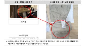 '겨울용 샀는데 여름바지'…유튜브 해외쇼핑몰 피해 상반기만 359건
