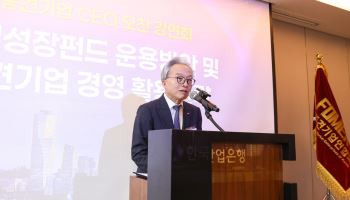 최진식 중견련 회장 "국민성장펀드 접근·적시성 강화해야"