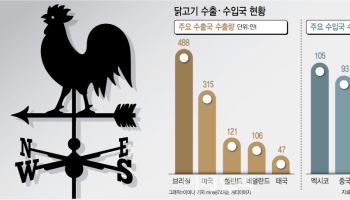 '꼬끼오'…닭이 전 세계 식탁 정복한 비결 '다섯'