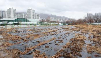 농지 화장실·주차장 규제 푼다…전용허가 없이 설치