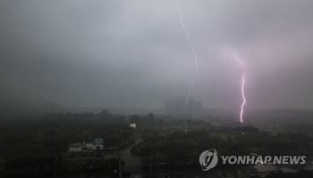 대구 수성구, 낙뢰로 40여가구 정전…한전 긴급 복구