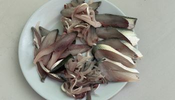가을 아닌 여름 제철 생선 '전어'…  사천 전어 축제를 가다[여행]