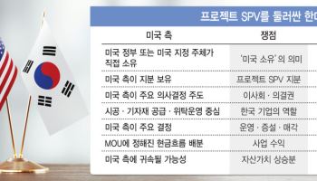 돈 대고도 주주 못 되나…'1호' 엔시날에 달린 대미투자 실익