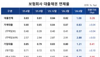 보험사 연체율 1%대…中企 연체율 석 달 새 0.66%p ‘껑충’