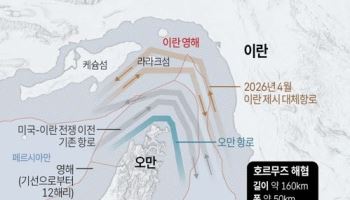 이란 전쟁 외교, 호르무즈 재개방으로 무게…중재국 협상 재가동