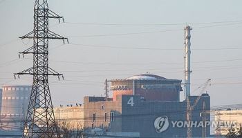 IAEA "자포리아 원전 전력끊겨…10일내 블랙아웃 우려"