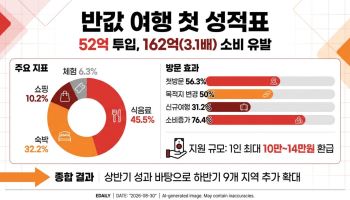 52억 투입에 162억 소비 유발…'반값 여행' 첫 성적표 공개