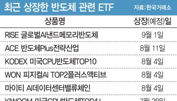 반도체 ETF 잘나가자 더 깊게 판다…CPU·낸드 ‘핀셋 투자’