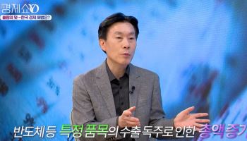 [이지혜경제쇼YO] 한국 반도체 잘 나가도 왜 내 삶은 안 좋아졌나