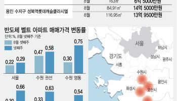 “국평이 대형보다 더 비싸다”…삼전 사내대출에 ‘가격역전’