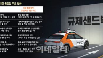 돌봄로봇, 의료냐 복지냐 정하는데만 넉달...제구실 못하는 '혁신놀이터'