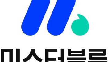 미스터블루, 액면병합 후 첫 거래일 '상한가'[특징주]