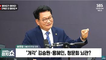 “악어떼 습격 다 막기 어렵다” 송영길, '용혜인 낙마' 불가피론