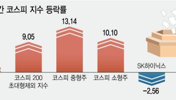 삼전닉스 내려도 코스피 올랐다…증시 공식 흔들