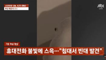 "침대 위 빈대, 방 바꿨는데 또"…해운대 호텔서 무슨 일이