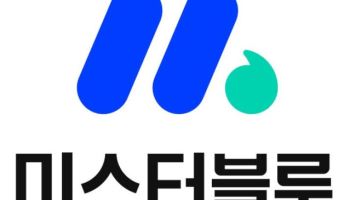 미스터블루, 액면병합 첫날 상한가 이어 22%대↑…실적도 흑전