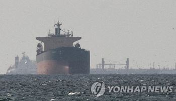트럼프 거듭된 압박에…정부, 호르무즈 파병 ‘선택지’ 구체화
