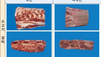 갈비·과일 ‘원산지·등급 둔갑’ 잡는다…추석 성수품 집중단속