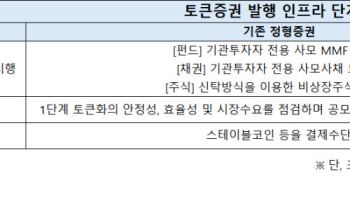 토큰증권 내년 개막…대형사 ‘독자 생태계’·중소형사 ‘공동 플랫폼’ 승부
