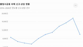 불법금융광고 지난해 2만5000건 ‘역대 최대’…피해 신고도 늘었다