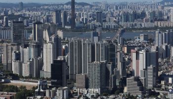 강남 3구 집값 옥죄자…비강남 '중저가'로 우르르
