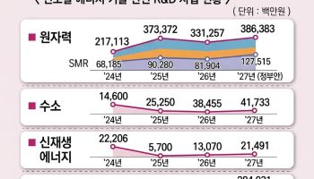 AI 전력경쟁에 에너지 R&D 48% 증액…원자력 역대 최대