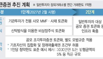 토큰증권, 안전장치 강화에 발목 잡히나…초기 구조 고착화 우려