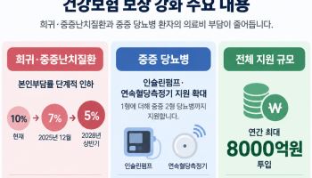 중증·희귀난치 환자에 건보 연 최대 8000억원…당뇨 지원도 확대