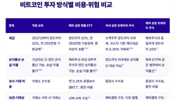 비트코인 직접 살까, 트레저리 주식이나 해외ETF 살까