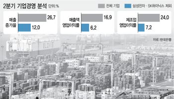 삼전닉스 뺐더니…기업 영업이익률 17→6% 뚝