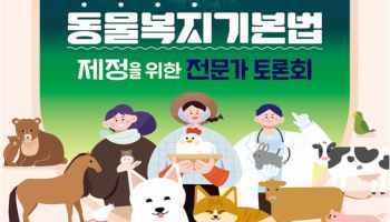 ‘보호’ 넘어 ‘복지’로…동물복지기본법 제정 의견 모은다