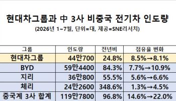 현대차그룹, 글로벌 전기차 판매 25% 늘었지만…中 공세에 점유율 하락
